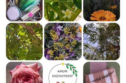 REGALOS ECOLÓGICOS | AMOR ENCANTADO